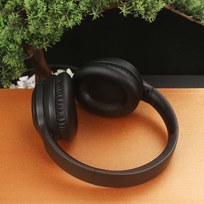 L41S-ANC