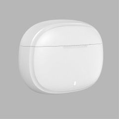 ANC |ENC Earbuds