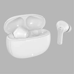 ANC |ENC Earbuds