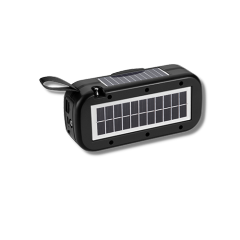 Multi-functional speaker
