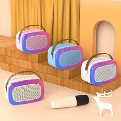 Portable karaoke speaker