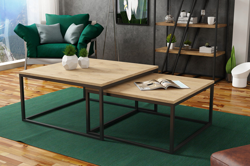 2 Piece Coffee Table Set