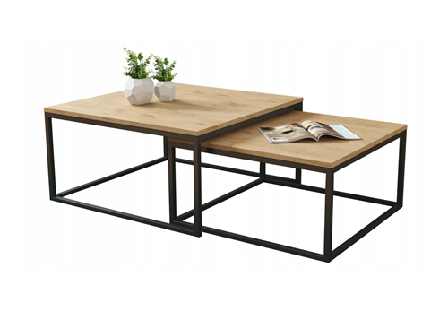 2 Piece Coffee Table Set