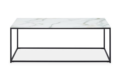 Glass and Metal Coffee Table