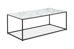 Glass and Metal Coffee Table