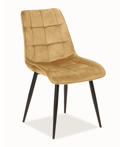 Dining Chair with Cushion