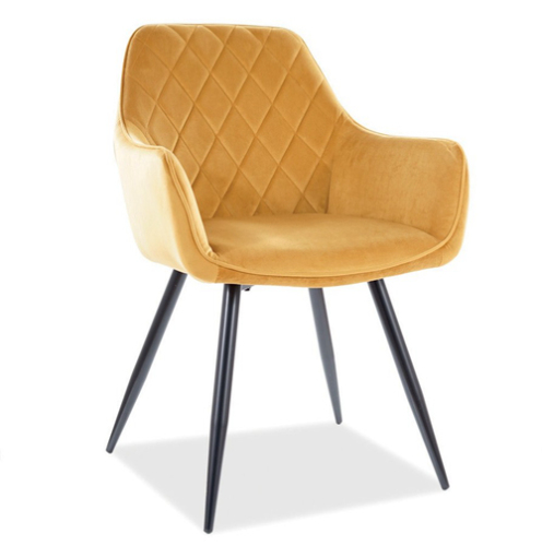 Yellow Dining Arm Chairs