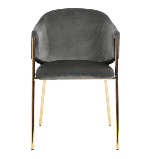 Dining Chair with Gold Legs, Dining room furniture, CE furniture