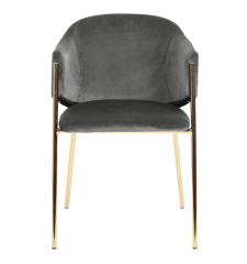 Dining Chair with Gold Legs