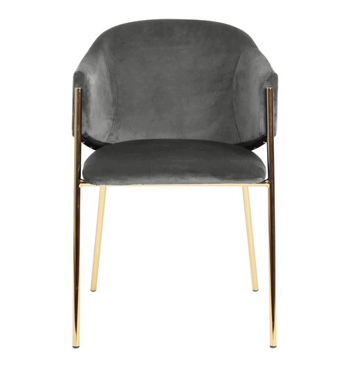 Dining Chair with Gold Legs