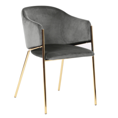 Dining Chair with Gold Legs