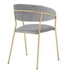 Velvet and Gold Dining Chair