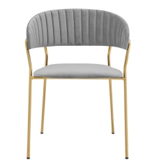 Velvet and Gold Dining Chair