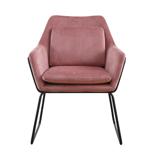 Modern Pink Upholstery Loveseat