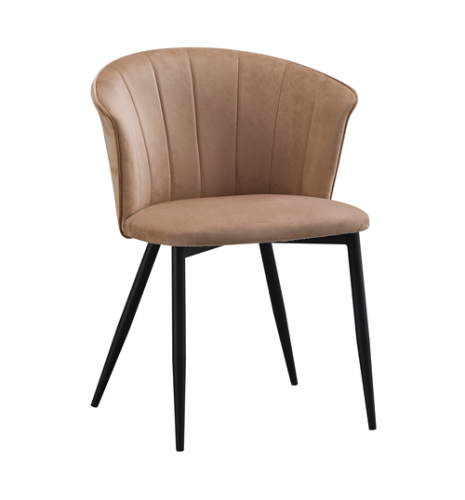 Shell Back Dining Chair