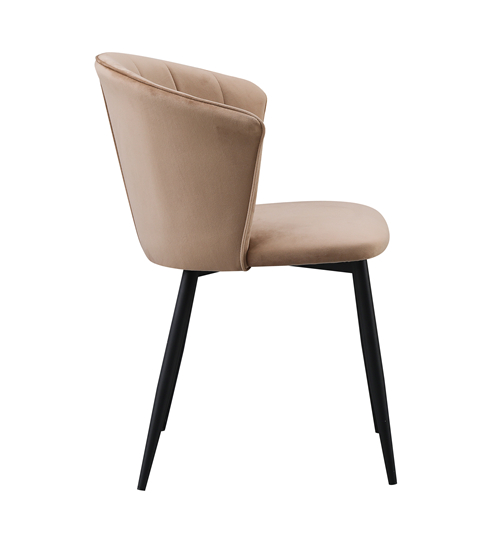 Shell Back Dining Chair