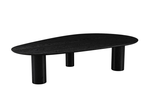 Black Special Shaped Coffee Table