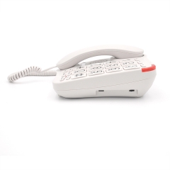 China Big Button Landline Telephone With Two Way Speaker and 3 One-Touch Memory Keys And 10 Two-Touch Memory Speed Dials Factory (PA027)