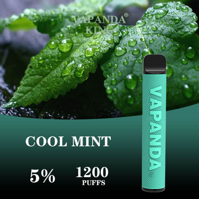 KING 1200PUFFS DISPOSABLE POD COOL MINT