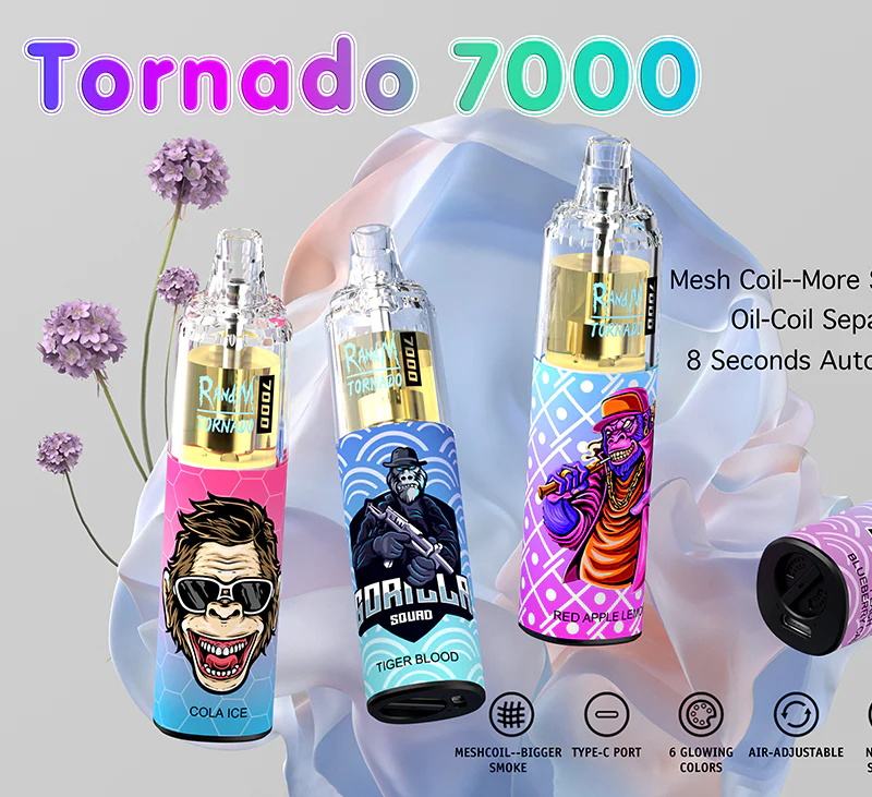 30 boxes (300pcs) RandM Tornado 7000 Puffs