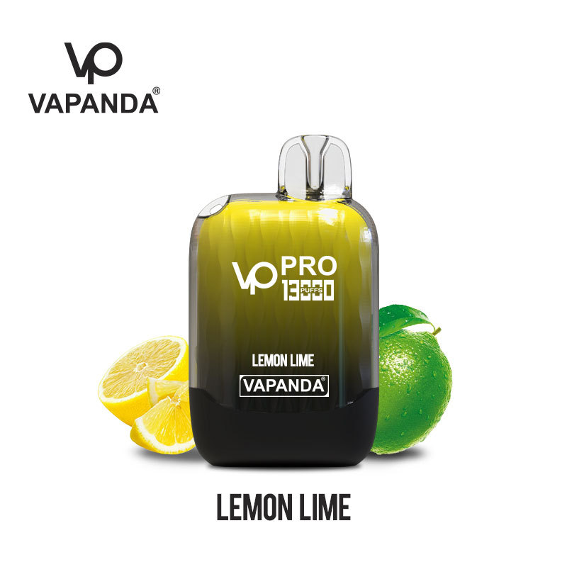 10 boxes (100pcs)VAPANDA PRO 13000puffs dispsoable vape pod  wholesale i vape Elf bar Lost Mary elux oxbar