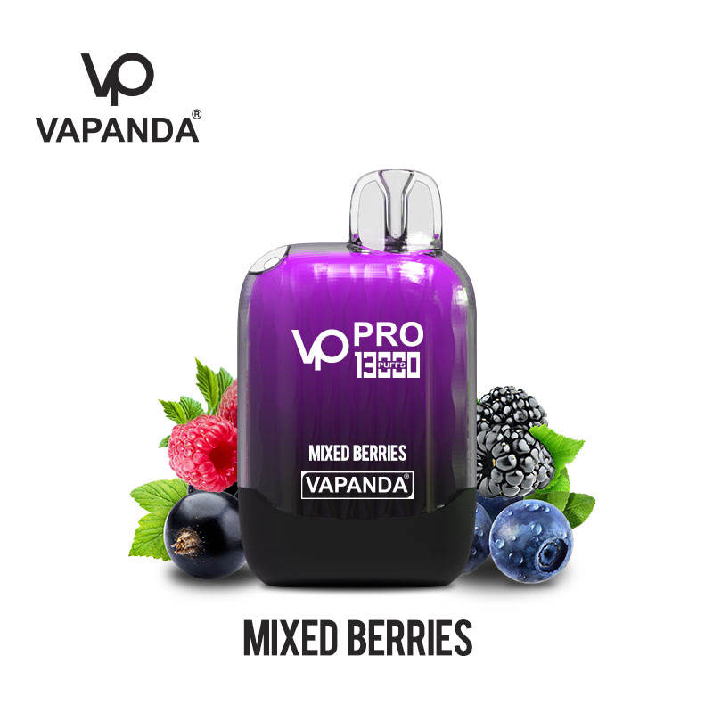 10 boxes (100pcs)VAPANDA PRO 13000puffs dispsoable vape pod  wholesale i vape Elf bar Lost Mary elux oxbar
