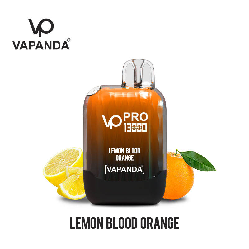 10 boxes (100pcs)VAPANDA PRO 13000puffs dispsoable vape pod  wholesale i vape Elf bar Lost Mary elux oxbar