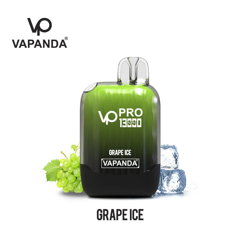 10 boxes (100pcs)VAPANDA PRO 13000puffs dispsoable vape pod  wholesale i vape Elf bar Lost Mary elux oxbar