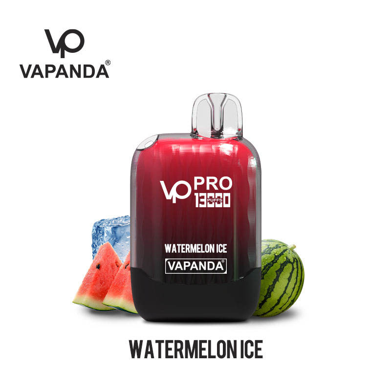 10 boxes (100pcs)VAPANDA PRO 13000puffs dispsoable vape pod  wholesale i vape Elf bar Lost Mary elux oxbar