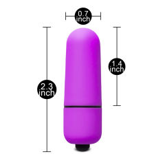 Purple Mini Bullet