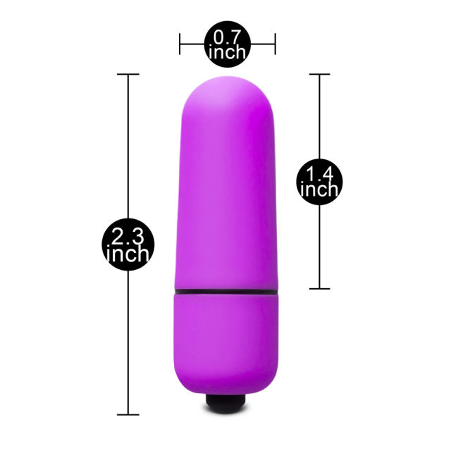 Purple Mini Bullet