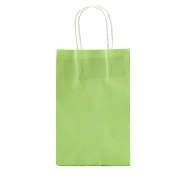 Green Color Small Size Gift Bags ( 8 CM x 13.5 CM x 21 CM )