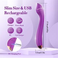 10-Speed Purple Rechargeable Silicone Vibrator