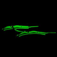 Glow-in-the-Dark Handcuffs