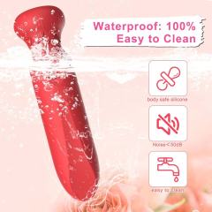10-Speed Red Rechargeable Silicone Bullet Vibrator with USB Magnetic Charging