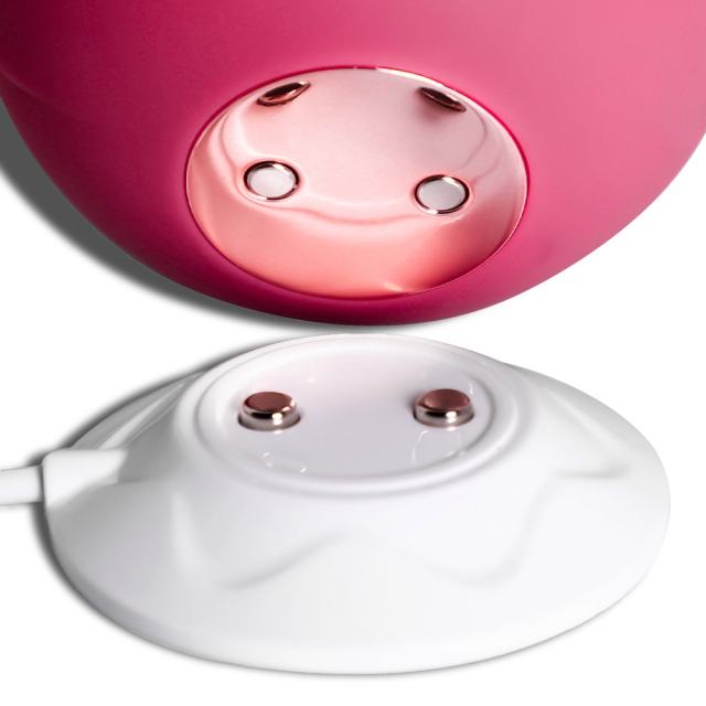10-Speed Red Rechargeable Silicone Rose Clitoral Vibrator with Sucking Function