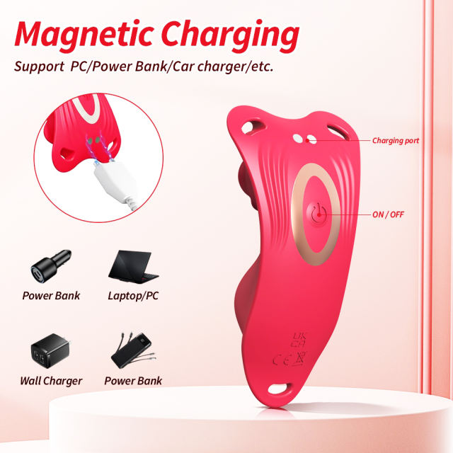 10-Speed Red Rose Shape Waterproof Rechargeable Remote Control Silicone Wearable Panty Vibrator