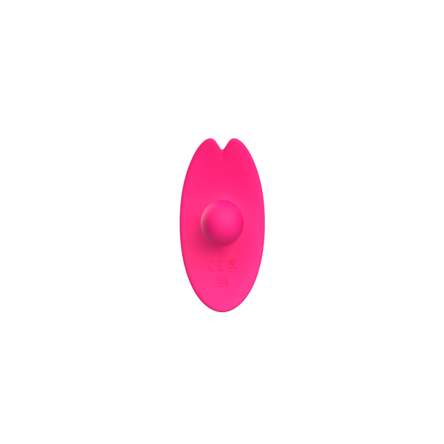 10-Mode Rechargeable Waterproof Silicone Panty Vibrator with Remote Control
