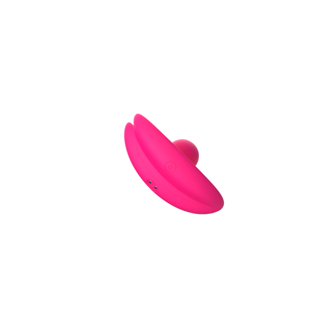 10-Mode Rechargeable Waterproof Silicone Panty Vibrator with Remote Control