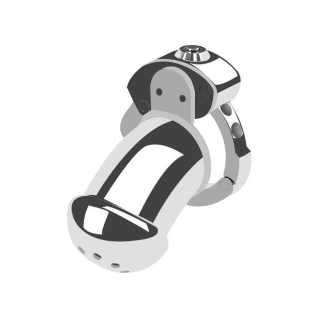 Stainless Steel 309 & Zinc Alloy Chastity Lock ZC-064