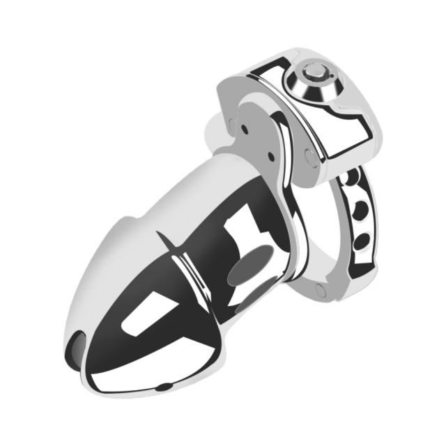 Stainless Steel Chastity Cage Lock – 4.3” Secure Male Device with Keys & Storage Bag