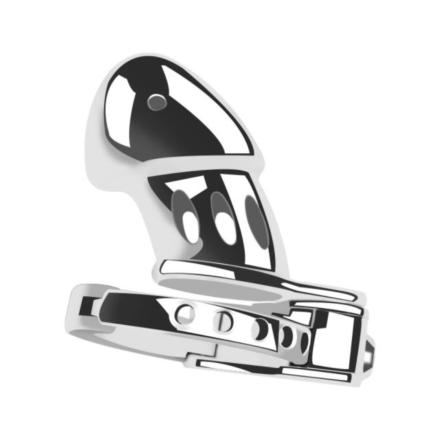 Stainless Steel Chastity Cage Lock – 4.3” Secure Male Device with Keys & Storage Bag