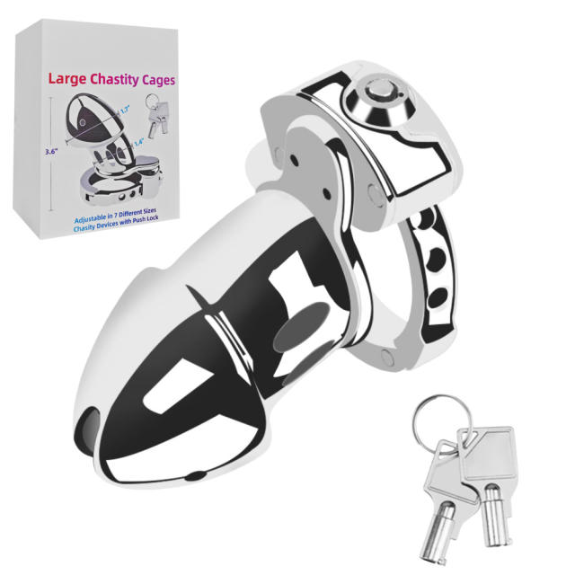 Stainless Steel Chastity Cage Lock – 4.3” Secure Male Device with Keys & Storage Bag