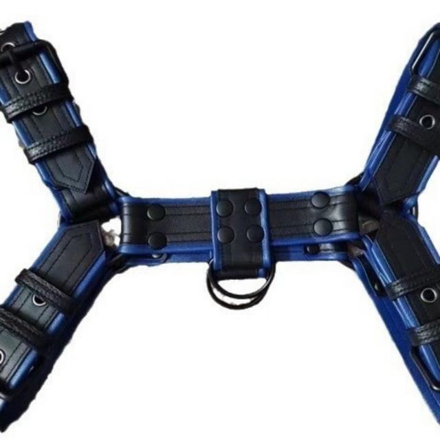 Adjustable Chest Harness - Black & Navy Blue - – Fetish Body Bondage Accessory