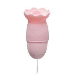 Pink USB-Powered Vibrating & Tongue-Licking Egg (Foil Bag)