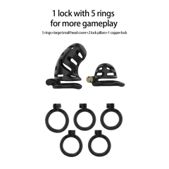 Black ABS Male Chastity Cage Set – Includes 2 Cages, 5 Rings, and Locks