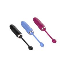 7-Speed Rechargeable Vibrating Egg with Remote Control