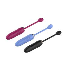 7-Speed Rechargeable Vibrating Egg with Remote Control