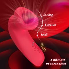 10-Mode Red Rechargeable Silicone Vibrator with Sucting Function