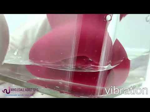 Customizable  10-Mode Red Rechargeable Silicone Vibrator with Sucting Function